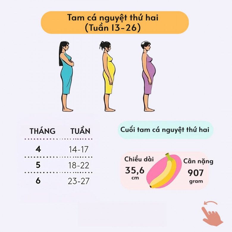 Điều kỳ diệu trong 3 giai đoạn của thai kỳ: Từ những dấu hiệu khởi đầu của sự sống đến diễn biến chờ sinh nở - 3