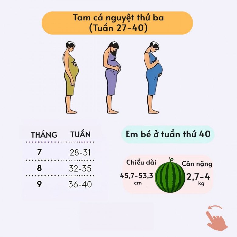 Điều kỳ diệu trong 3 giai đoạn của thai kỳ: Từ những dấu hiệu khởi đầu của sự sống đến diễn biến chờ sinh nở - 4