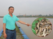 Tin tức - Nghề lạ ở Việt Nam: Bỏ việc lương cao về nuôi con "hiền như cục đất", anh nông dân nhẹ nhàng đút túi 10 tỷ đồng