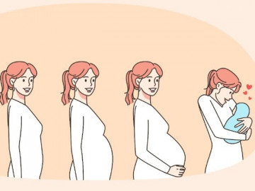 Điều kỳ diệu trong 3 giai đoạn của thai kỳ: Từ những dấu hiệu khởi đầu của sự sống đến diễn biến chờ sinh nở