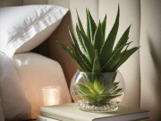 Nhà đẹp - Tại sao nha đam bị nhiều người đưa vào “danh sách đen”? Đây là 3 lý do