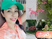 Nhà đẹp - Nhà vườn 3.000m2 của Việt Trinh đầy hoa xinh xắn: Ước mơ có dàn hoa tigon lãng mạn thành hiện thực