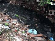 Clip Eva - Dự án cải tạo môi trường gây ô nhiễm giữa lòng Thủ đô