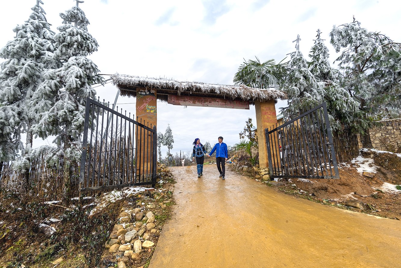 Y Ty at 2000 meters above sea level