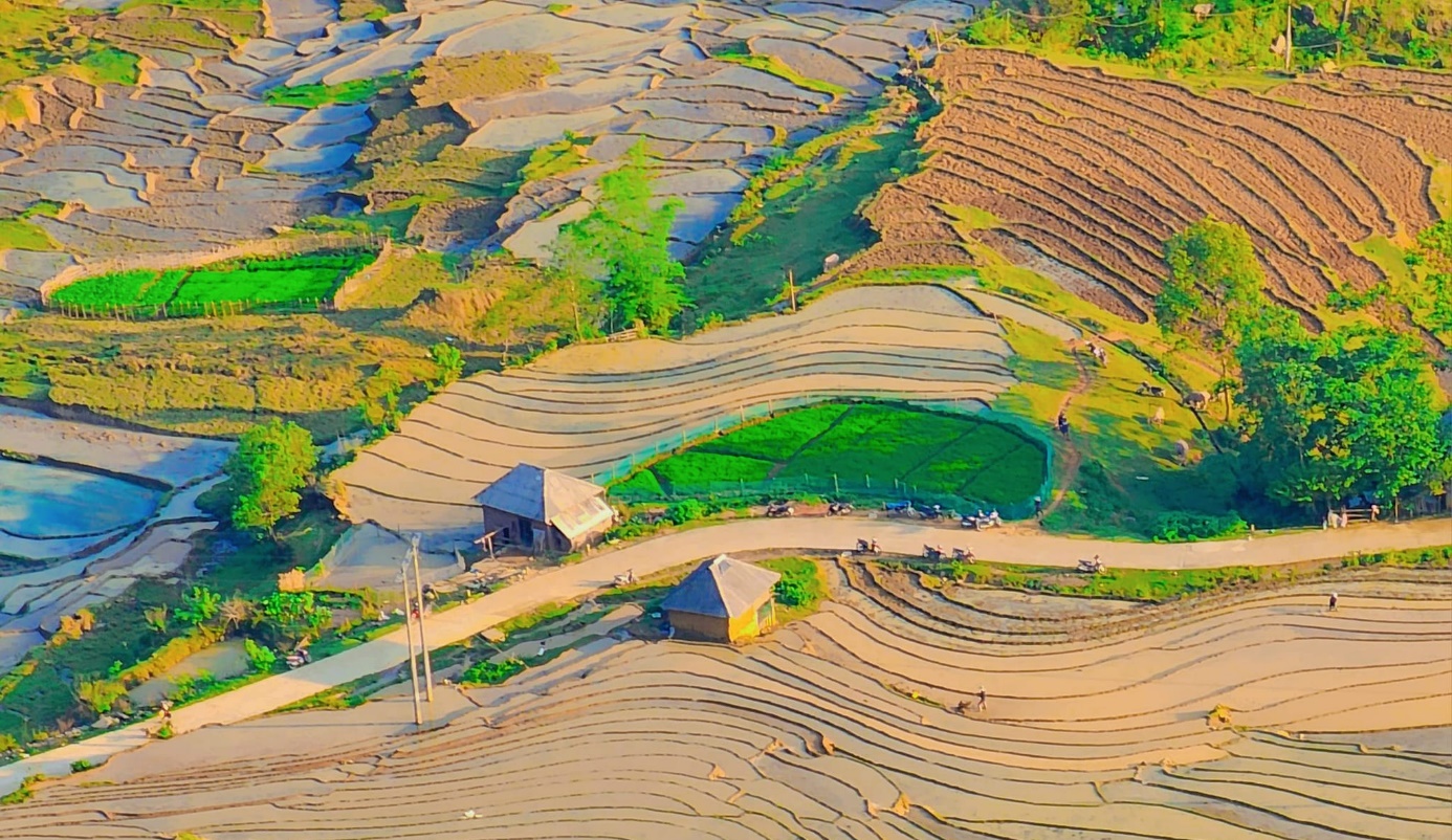 Rice terraces in Y Ty