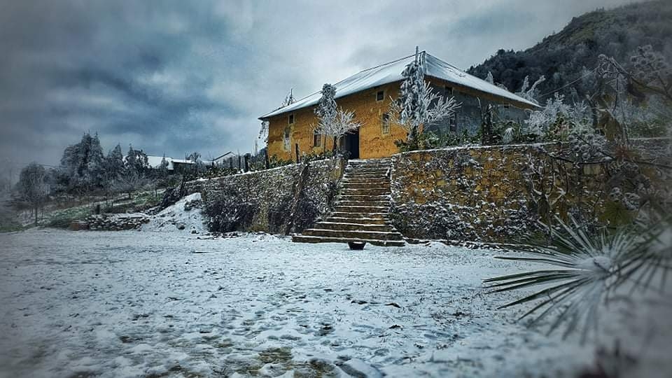 Homestay in winter