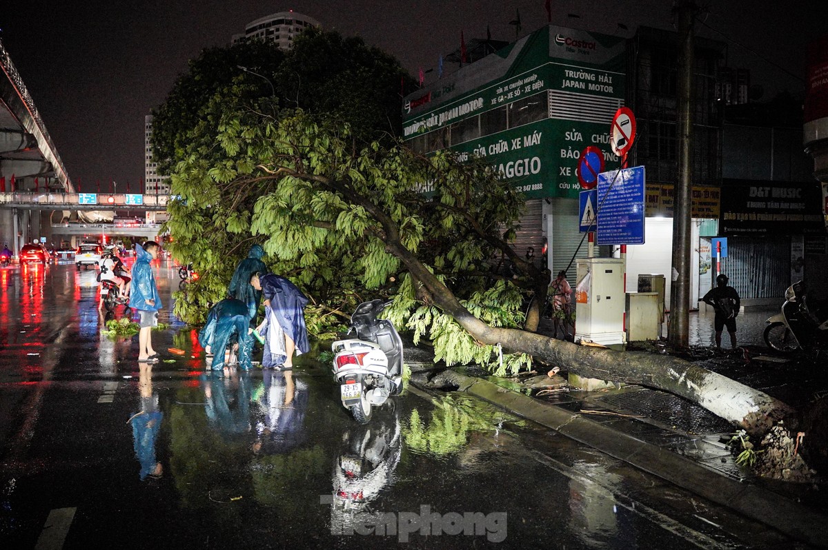 Cách ᵭó chưa tới 50m, một cȃy xanh to cũng ᵭổ.