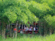 Lifestyle - Lễ Quốc khánh 2/9: Tới Làng Nhỏ, đắm chìm trong vẻ đẹp nguyên sơ của núi rừng