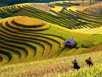 5 điểm đẹp quên lối về ở Mù Cang Chải, nhất định phải đi trong mùa thu