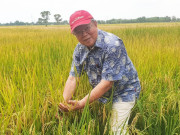 Tin tức - Ông "tiến sĩ lúa" và chuyện cuốn vở chép tay nguyên vẹn cả chữ cùng hình