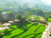 Lifestyle - Du khách ngồi giữa ruộng bậc thang Sa Pa, nhâm nhi cà phê, ngắm mây bồng bềnh
