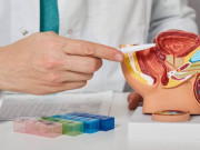 Bà bầu - Hệ thống sinh sản nam hoạt động như thế nào?