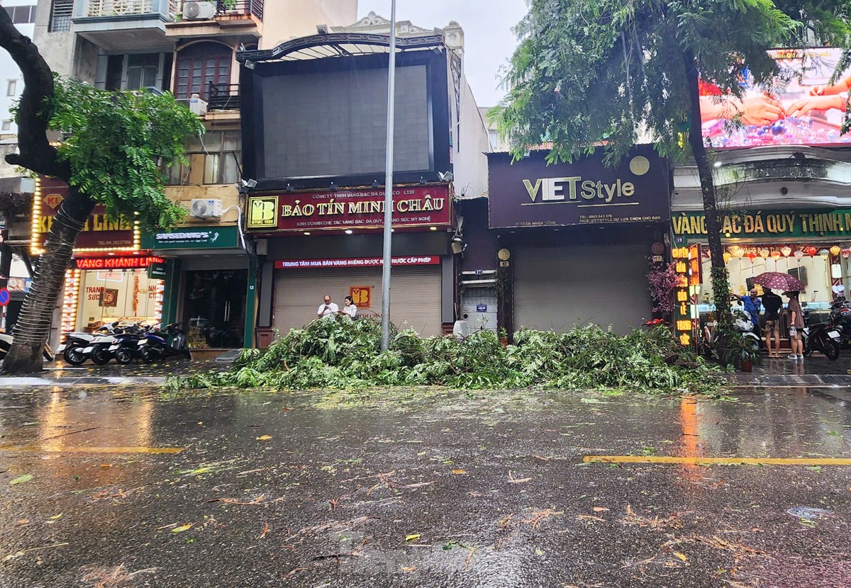 Trên phố Trần Nhân Tông, một số cây đổ từ hôm qua vẫn chưa được dọn dẹp, gây cản trở giao thông và ảnh hưởng đến việc đi lại của người dân.