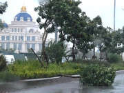 Tin tức - Bão số 3 tiến sát Quảng Ninh, nhiều cây đổ, có nơi mất điện
