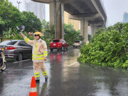Tin tức - Bão chưa về, cây xanh đã đổ la liệt ở Hà Nội