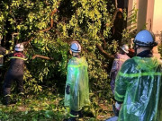 Tin tức - Nhiều hình ảnh xúc động của lực lượng Công an Thủ đô hỗ trợ nhân dân trong bão số 3