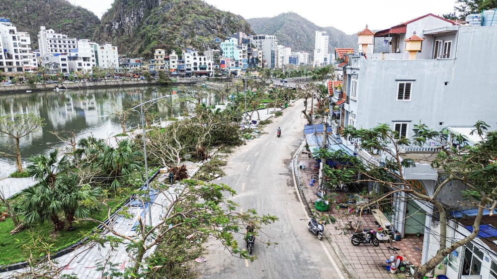 Cȃy cṓi quanh hṑ Tùng Dinh cũng bị gãy ᵭổ hàng loạt. Ảnh: NGỌC SƠN