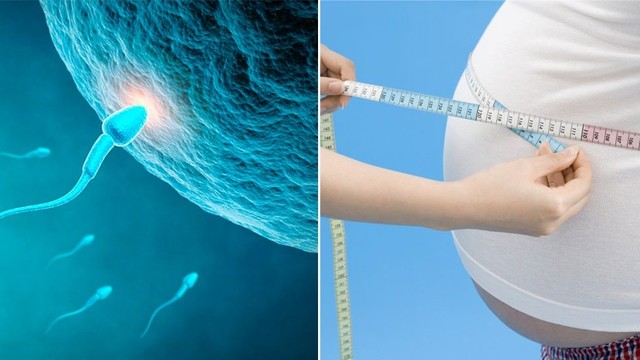 Đàn ông béo phì có thể tăng chất lượng và số lượng tinh trùng nếu giảm cân và duy trì cân nặng phù hợp.