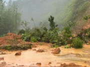 Tin tức - Tìm thấy 7 thi thể trong 5 căn nhà bị vùi lấp