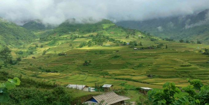 Khau Phạ valley view