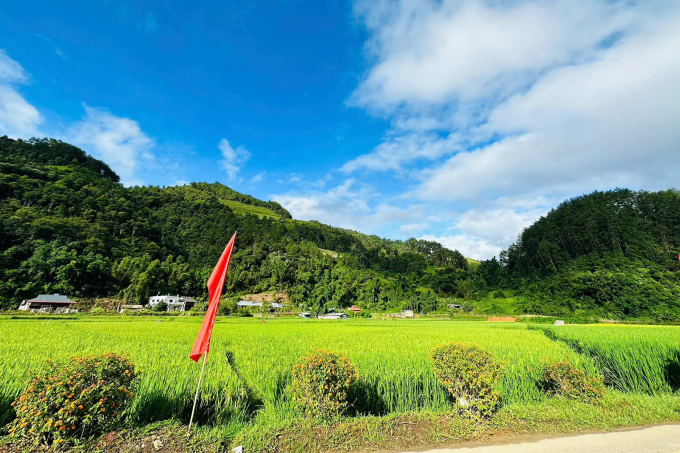 Mù Cang Chải scenery