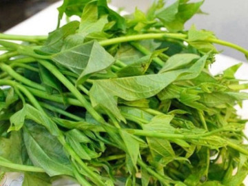 Bị bệnh tiểu đường có nên ăn rau khoai lang thay cơm?