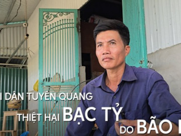 Chủ vườn ở Tuyên Quang lo bạc tỷ trôi theo dòng nước lũ