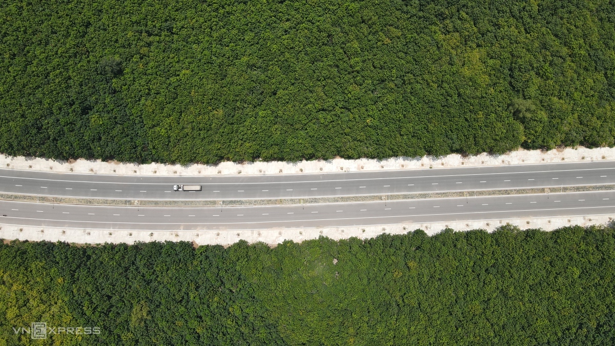 Một đoạn đường đi qua rừng cao su bạt ngàn ở huyện Phú Giáo.