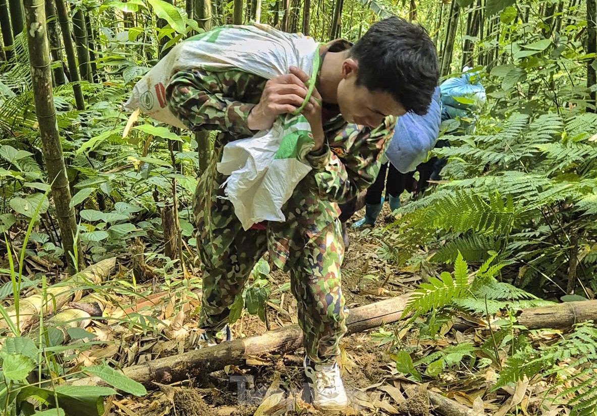 img src/upload/3-2024/images/2024-09-17/1726536251-tp-25-7836-width1761height1139.jpg width660 /