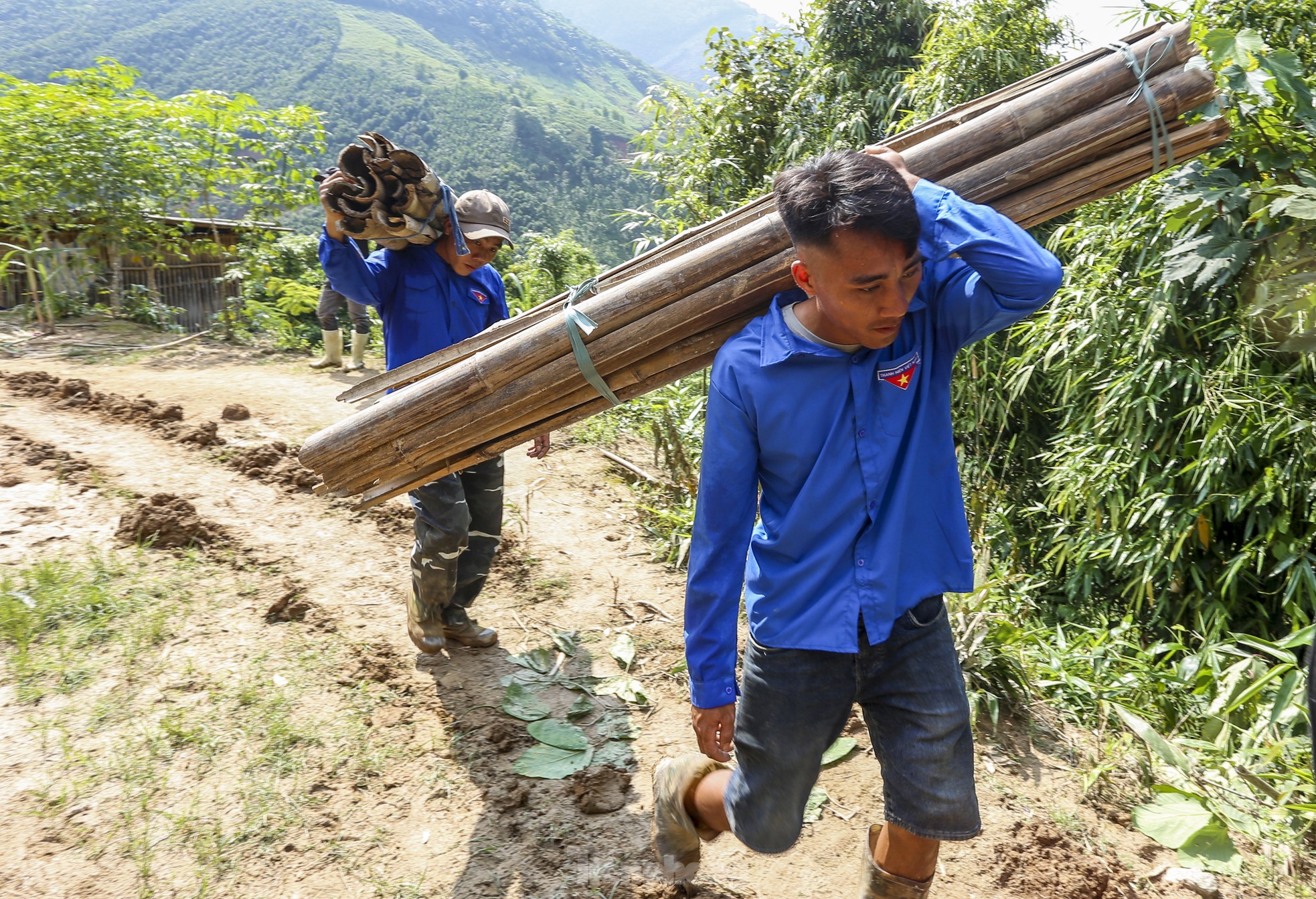 Lực lượng thanh niên cũng gom củi, vận chuyển đến điểm tập kết và khu vực đóng quân của lực lượng chức năng để hỗ trợ nấu ăn.
