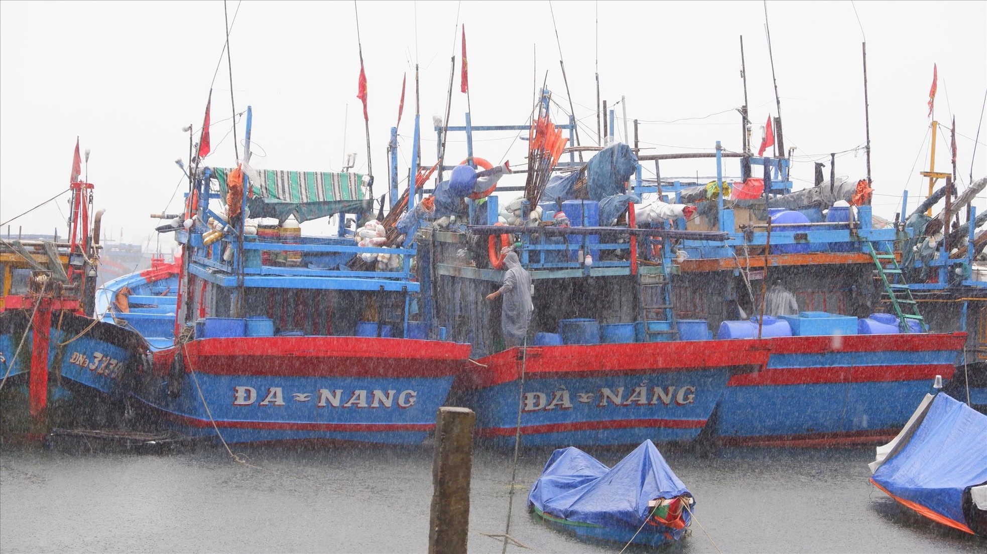 Ngư dân Đà Nẵng dầm mưa neo đậu tàu thuyền tại âu thuyền Thọ Quang. Ảnh: Nguyễn Thành