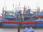 Tin tức - Chạy đua với bão số 4