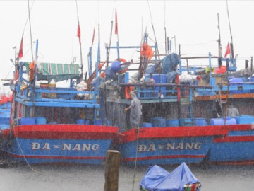 Chạy đua với bão số 4