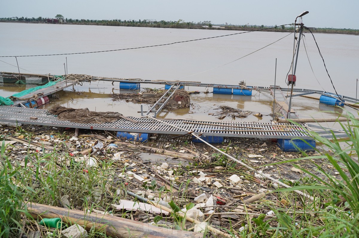 Tan hoang bên dòng sông Luộc: Bão số 3 cuốn bay amp;#34;bao nhiêu hi vọng, ước mơ làm giàuamp;#34; - 10