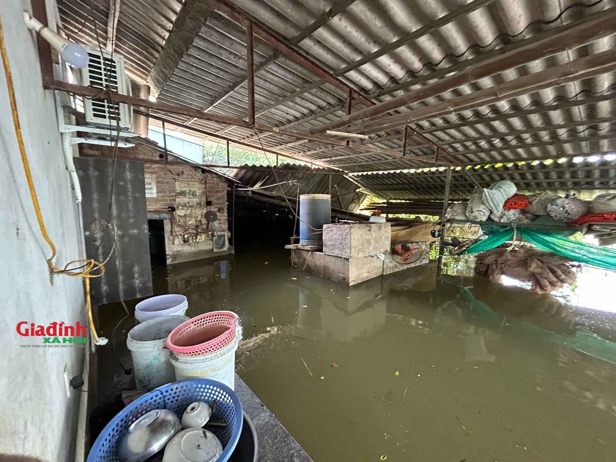 Một nhà dân tại xã Nam Phương Tiến ngập sâu gần 1m.