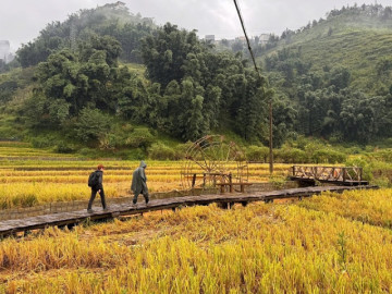 Lào Cai mở tour du lịch kết hợp thiện nguyện sau bão Yagi