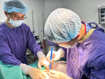 Lựa chọn khó khăn khi hoãn điều trị để bảo tồn   nòi giống 