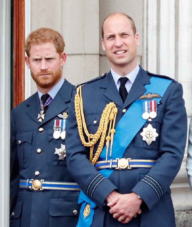 Antes de eso, Harry y su hermano heredaron una gran cantidad de herencia de su madre biológica.