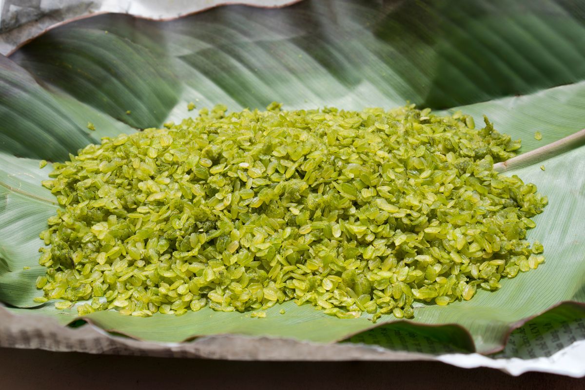 Mùa thu mang tín hiệu đầu tiên từ những gánh cốm.
