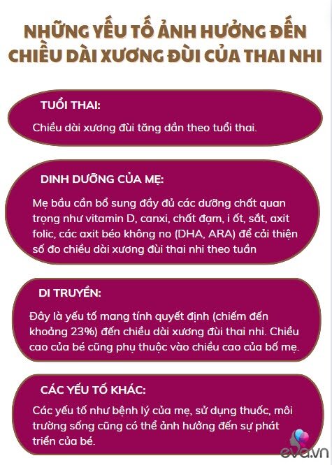 Chân con có dài như siêu mẫu hay không, mẹ cần biết rõ 4 yếu tố ảnh hưởng đến chiều dài xương đùi của thai nhi - 6