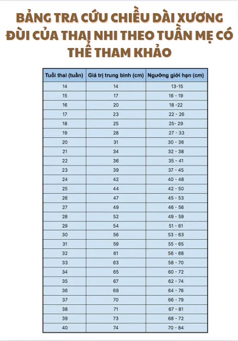 Chân con có dài như siêu mẫu hay không, mẹ cần biết rõ 4 yếu tố ảnh hưởng đến chiều dài xương đùi của thai nhi - 7