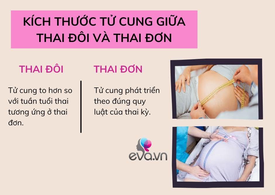 Mang thai đôi khác với thai đơn như thế nào? Có thể phát hiện thai đôi qua que thử thai không? - 3