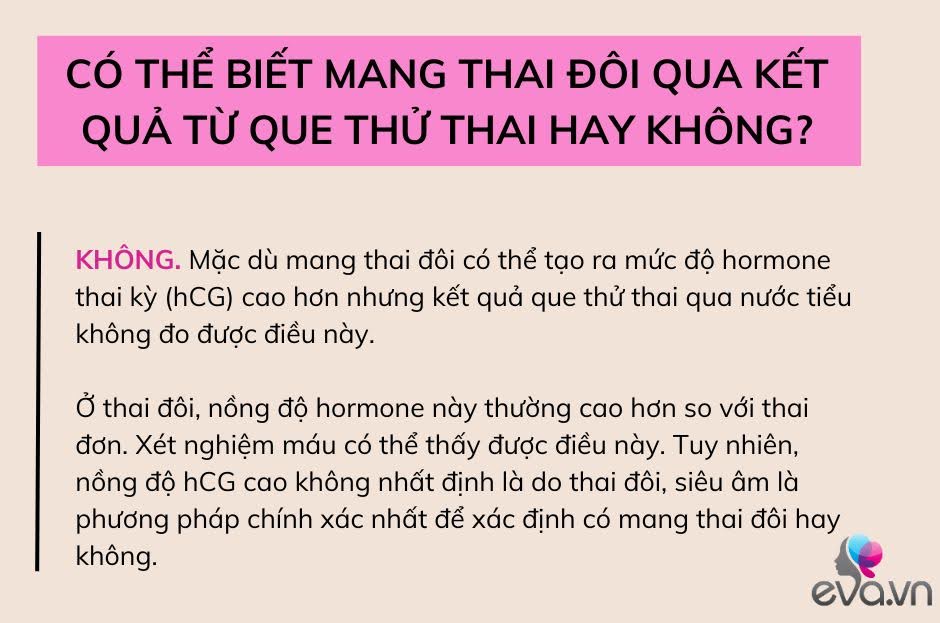 Mang thai đôi khác với thai đơn như thế nào? Có thể phát hiện thai đôi qua que thử thai không? - 7