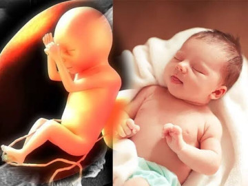 Chân con có dài như siêu mẫu hay không, mẹ cần biết rõ 4 yếu tố ảnh hưởng đến chiều dài xương đùi của thai nhi