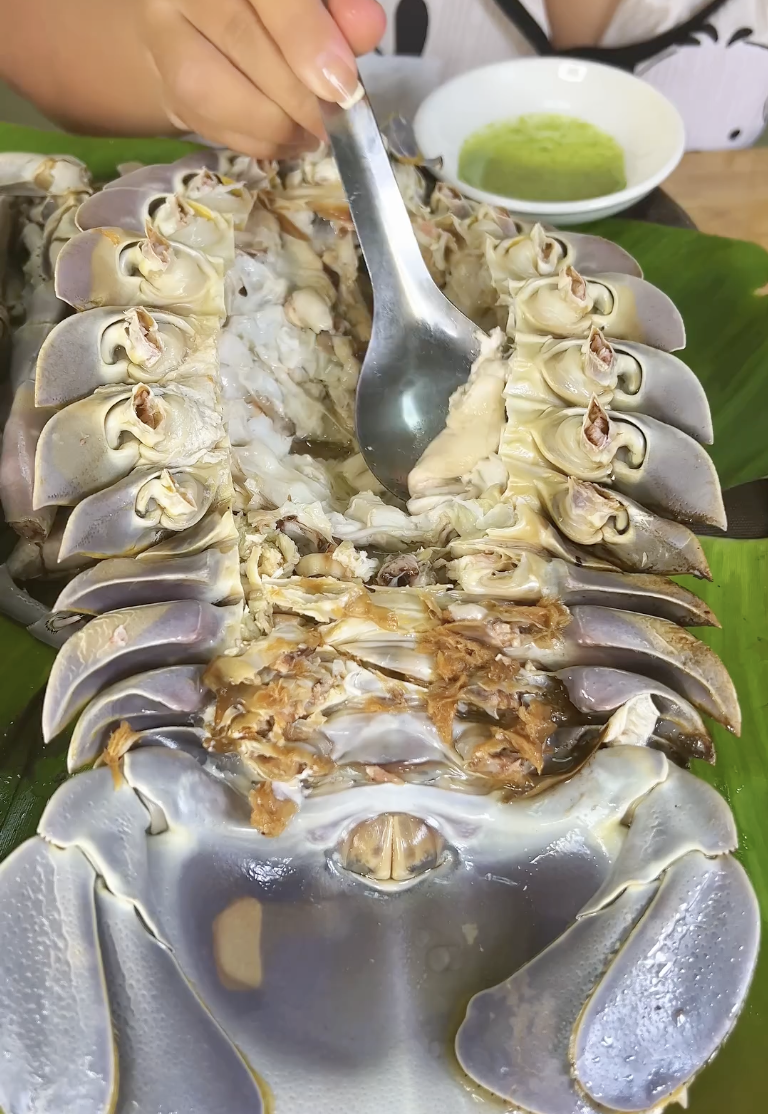 Bọ biển chưa nhiều dinh dưỡng cho mẹ bầu.
