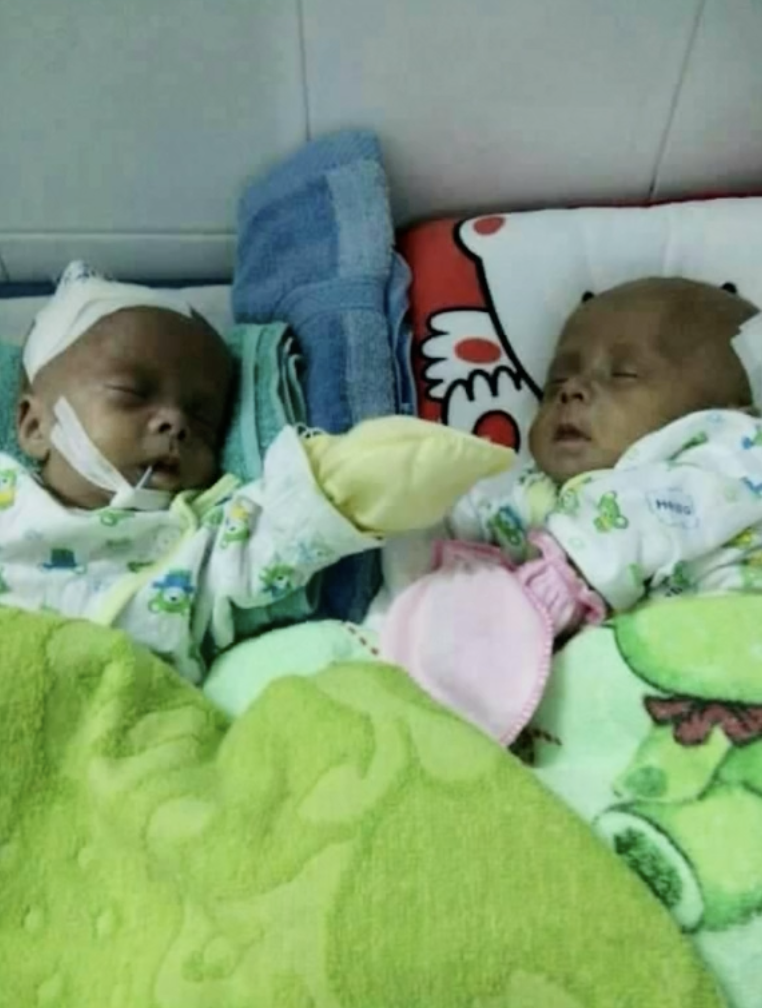 Hai con sinh đôi của chị Phượng.