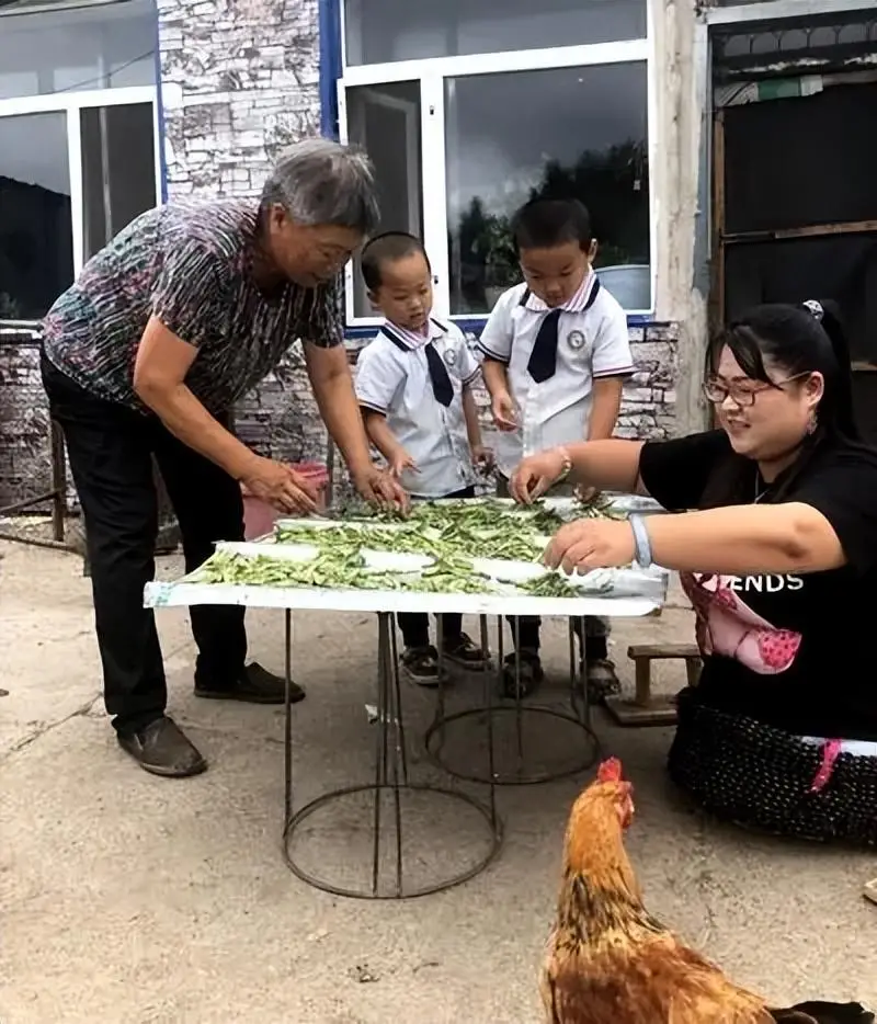 Cuộc sống hiện tại bên 2 con sinh đôi của Lữ Quyên.