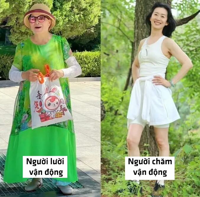 Những người kiên trì tập thể dục, thân hình trông sẽ thon gọn và săn chắc hơn, khiến họ ngay cả khi có tuổi vẫn khỏe mạnh và có sức quyến rũ đặc biệt. 