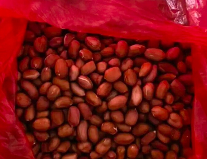 Lạc đã bóc vỏ do ông Peng Jiayin mang đến.