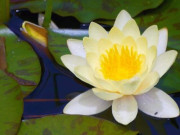 Eva tám - Người càng có trình độ nhận thức cao càng biết tôn trọng người khác